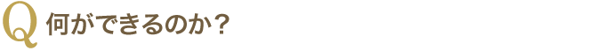 何ができるのか？
