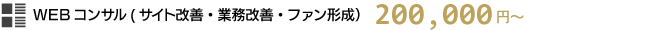 Webコンサル（サイト改善・業務改善・ファン形成）